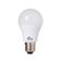 lamp-kian-led-a60-9w-6500k-10058-099749-099749-1