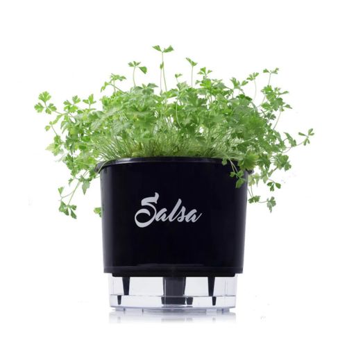 vaso-salsa vaso-salsa