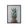 quadro-decor-45x60cm-abacaxi-xcc187245-106675-106675-1