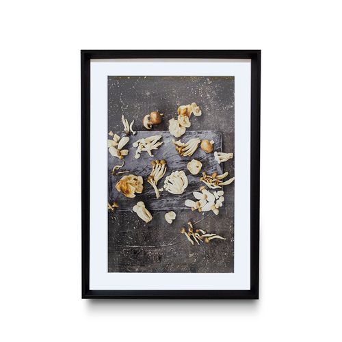 quadro-decor-50x70cm-conchas-wt17-ps0045-106711-106711-1 quadro-decor-50x70cm-conchas-wt17-ps0045-106711-106711-1