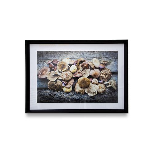 quadro-decor-50x70cm-cogumelos-wt17-ps0047-106712-106712-1