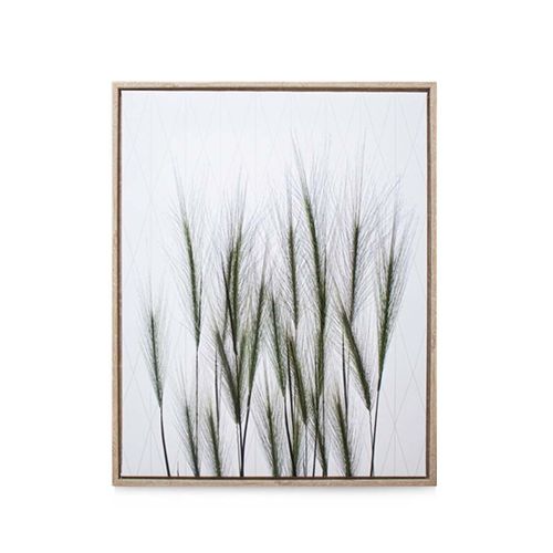 quadro-casa-ok-mdf-40x50cm-vegetacao-verde-ok-80214-110056-110056-1 quadro-casa-ok-mdf-40x50cm-vegetacao-verde-ok-80214-110056-110056-1