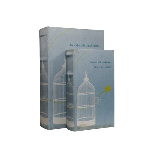 book-box-goods-2-pecas-azul-gaiolapassaro-27x18x7cm-11345_110273 book-box-goods-2-pecas-azul-gaiolapassaro-27x18x7cm-11345_110273