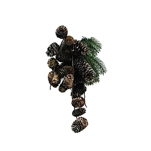 galho-cromus-pinheiro-c-pinhas-mrr-vrd-54cm-1103042_113552 galho-cromus-pinheiro-c-pinhas-mrr-vrd-54cm-1103042_113552