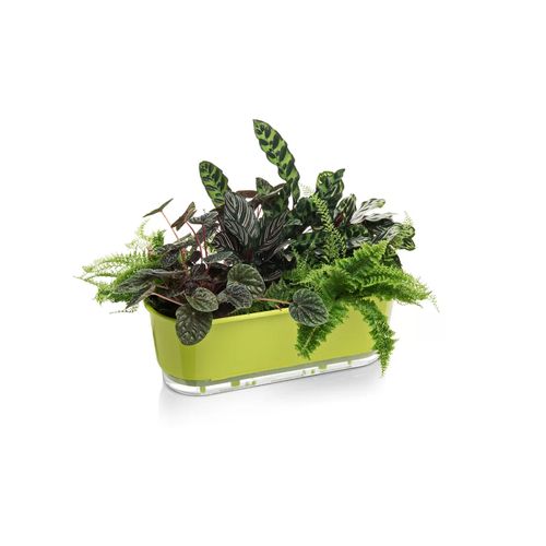 jardineira-autoirrigavel-raiz-rain-bow-verde-40cm-503_102249 jardineira-autoirrigavel-raiz-rain-bow-verde-40cm-503_102249