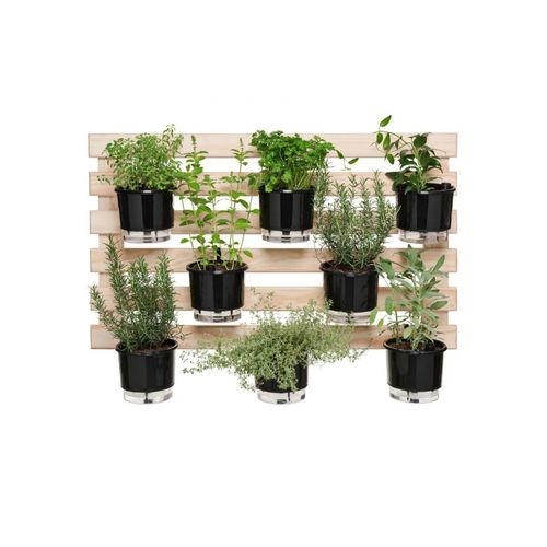 trelica-p-vasos-raiz-madeira-60x100cm-ret-horizontal-902-102262-102262 trelica-p-vasos-raiz-madeira-60x100cm-ret-horizontal-902-102262-102262