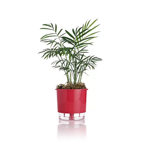 vaso-autoirrigavel-raiz-rain-bow-vermelho-02-126x114cm-211_102231