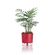 vaso-autoirrigavel-raiz-rain-bow-vermelho-02-126x114cm-211_102231