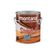 removedor-tintas-striptizi-montana-gel-4kg-33c050030_119062