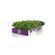 kit-microverdes-isla-rucula-e-repolho-102300-116021-116021