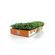kit-microverdes-isla-couve-e-mostarda-102300-116022-116022