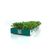 kit-microverdes-isla-agriao-e-rabanete-102300-116023-116023