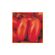 semente-tomate-isla-san-marzano-3gr-1332-270-31-114407-114407