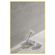 piso-porc-p-bello-60x120-chiaro-di-versilia-pol-210202e-119171-119171