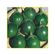 semente-jilo-isla-morro-grande-verde-escuro-5gr-5728-161-31-114371-114371