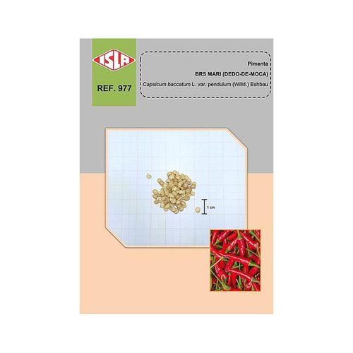 semente-pimenta-isla-brs-mari-dedo-de-moca-1gr-633-977-31-114395-114395 semente-pimenta-isla-brs-mari-dedo-de-moca-1gr-633-977-31-114395-114395