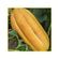 semente-melao-isla-gaucho-caipira-4gr-2023-181-31-114379-114379