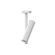 plafon-taschibra-stala--1x-mr11-br-02080061-01_120994