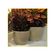 vaso-palash-verona-medio-40x30cm-branco-r0200-040-030-085417-085417