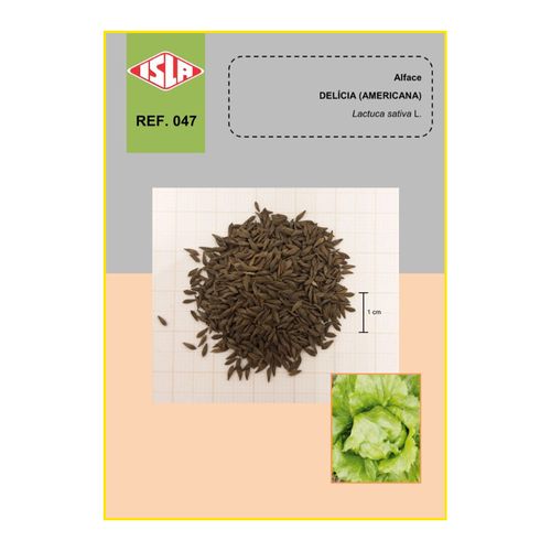 semente-alface-isla-amer-delicia-15gr-1324-47-31-114349-114349 semente-alface-isla-amer-delicia-15gr-1324-47-31-114349-114349